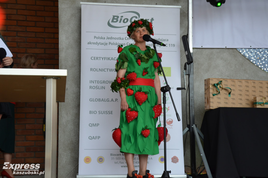 V Festiwal Truskawek Kaszubskich w Chmielnie