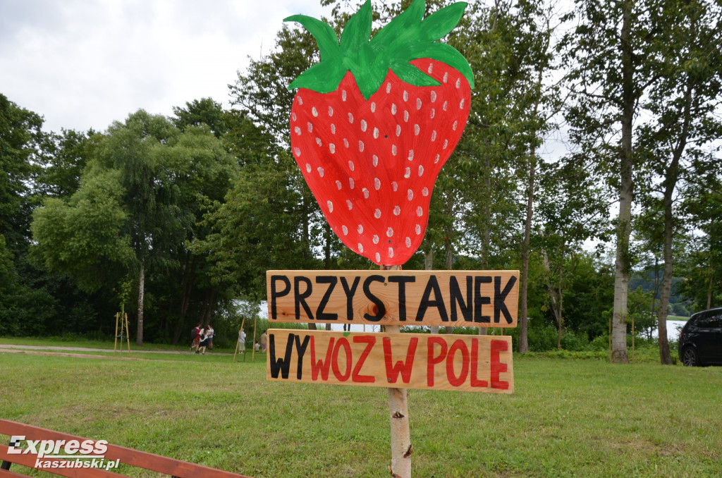 V Festiwal Truskawek Kaszubskich w Chmielnie