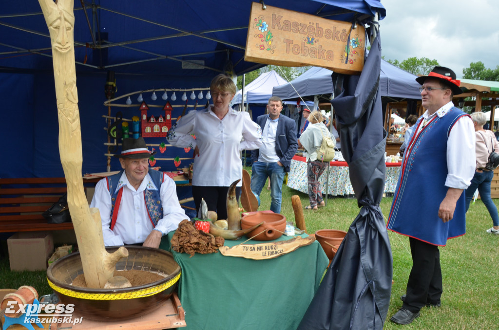 V Festiwal Truskawek Kaszubskich w Chmielnie