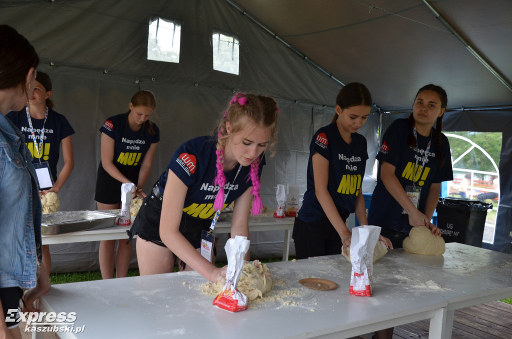 V Festiwal Truskawek Kaszubskich w Chmielnie