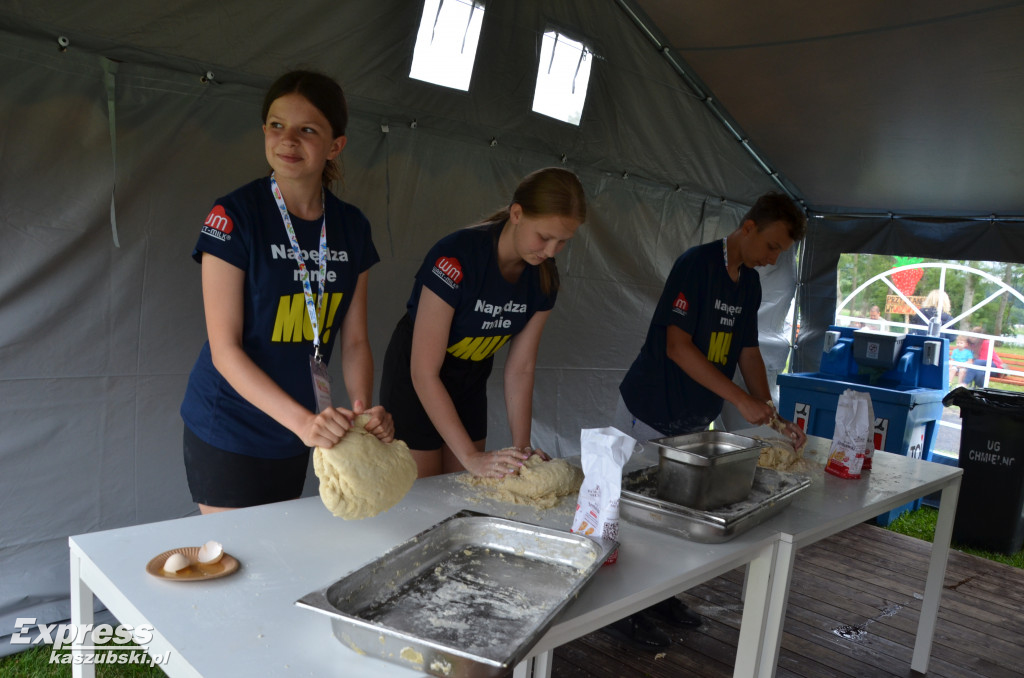 V Festiwal Truskawek Kaszubskich w Chmielnie