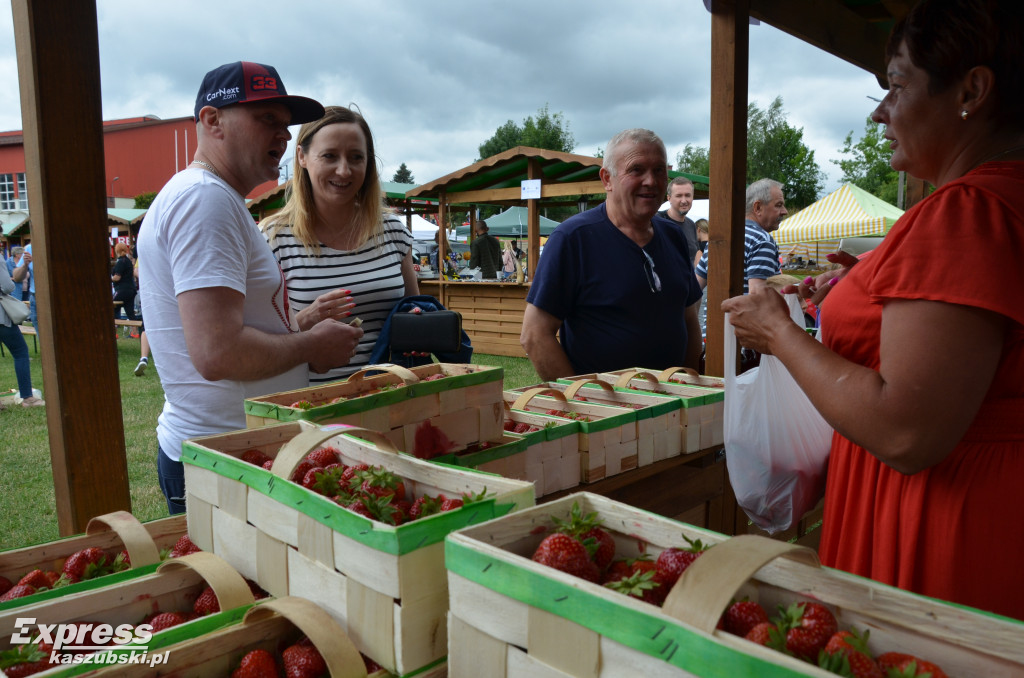 V Festiwal Truskawek Kaszubskich w Chmielnie