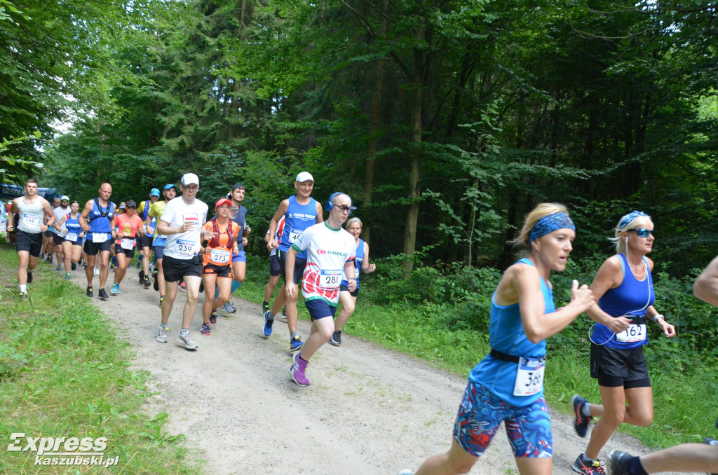 IV Cartusia Półmaraton