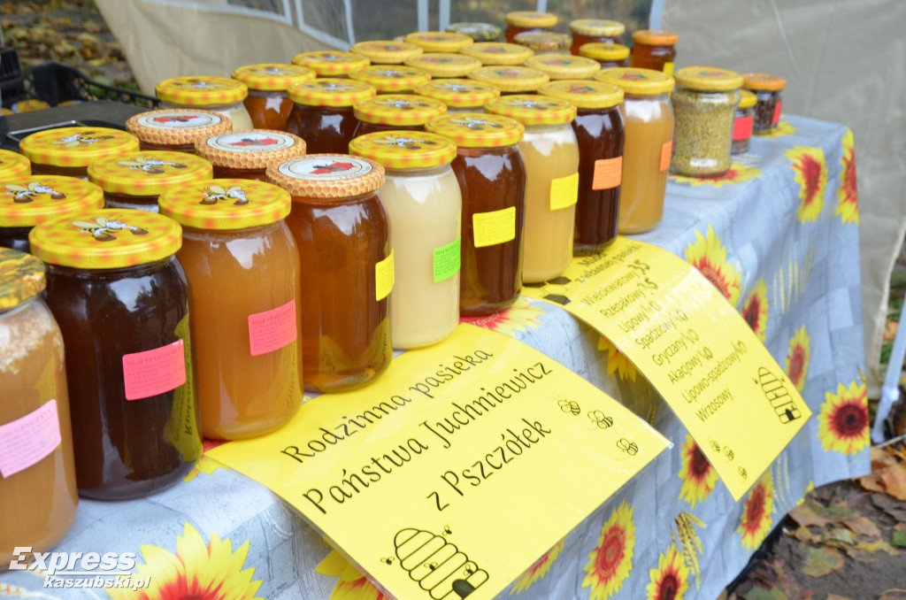 Piknik Pszczelarski w Wygodzie Łączyńskiej
