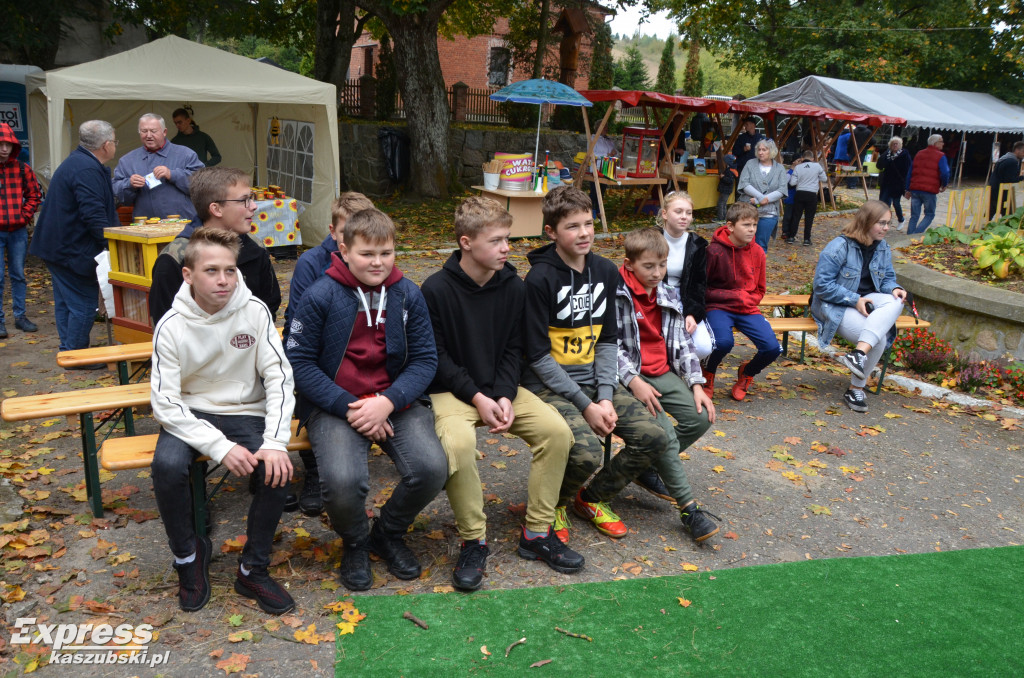 Piknik Pszczelarski w Wygodzie Łączyńskiej