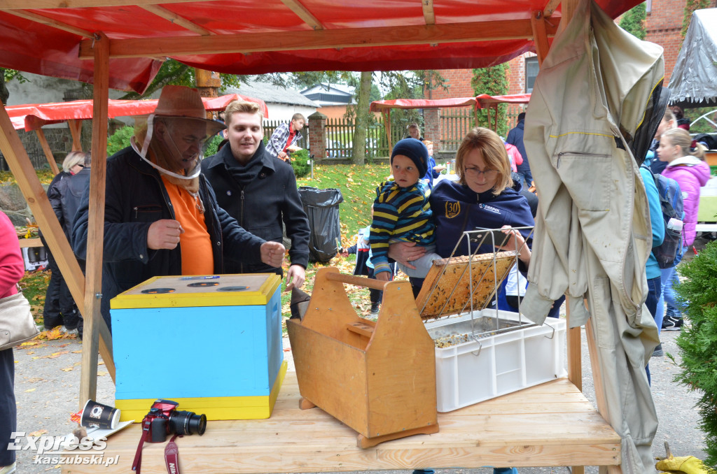 Piknik Pszczelarski w Wygodzie Łączyńskiej