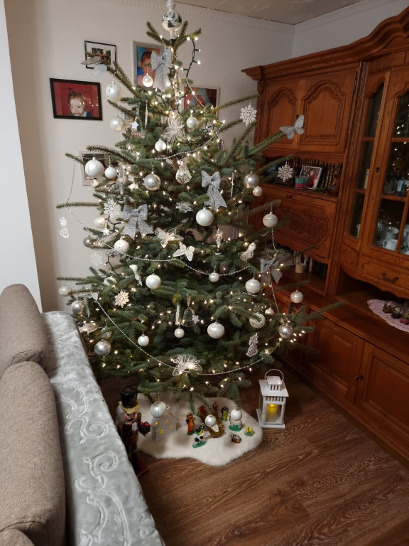 Galeria Waszych choinek 2021