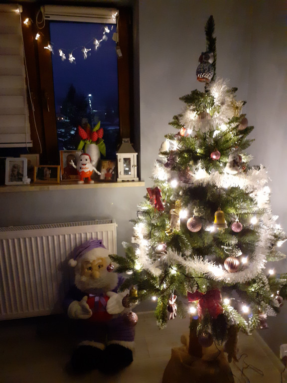 Galeria Waszych choinek 2021