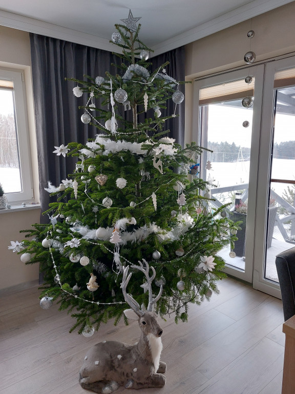 Galeria Waszych choinek 2021