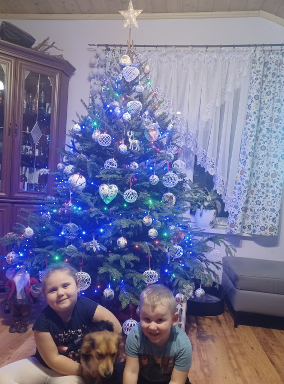 Galeria Waszych choinek 2021