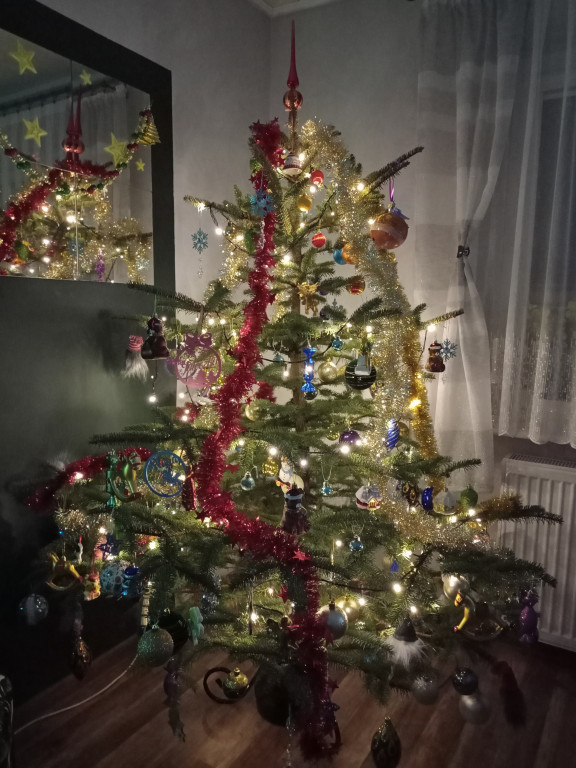 Galeria Waszych choinek 2021
