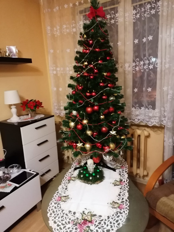 Galeria Waszych choinek 2021