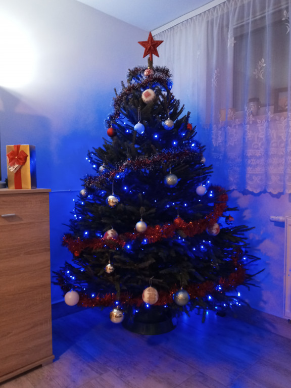 Galeria Waszych choinek 2021