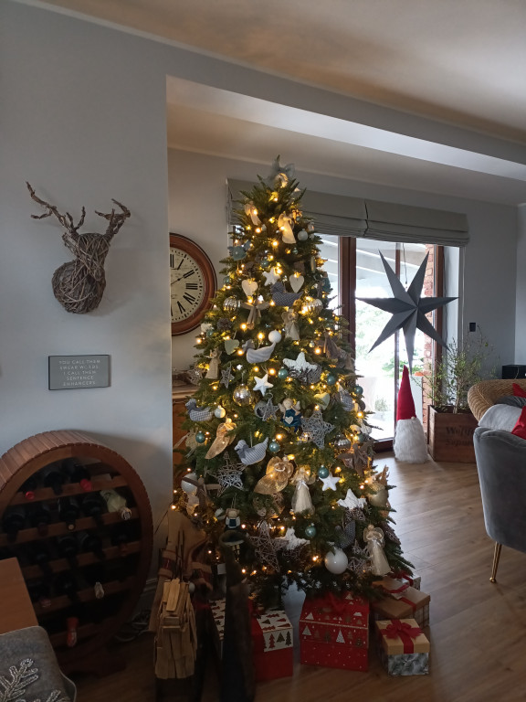 Galeria Waszych choinek 2021