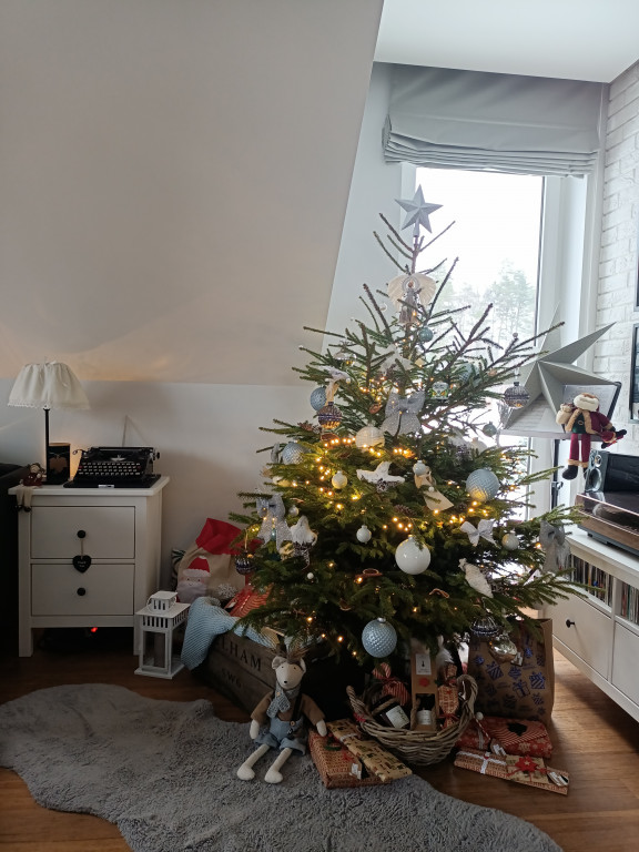 Galeria Waszych choinek 2021