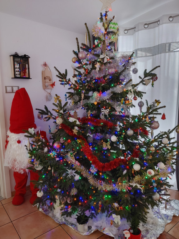 Galeria Waszych choinek 2021