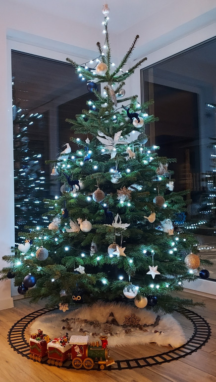 Galeria Waszych choinek 2021