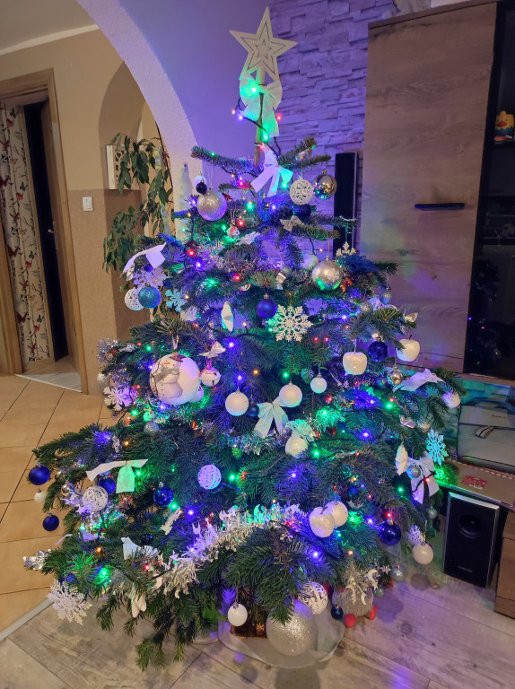 Galeria Waszych choinek 2021