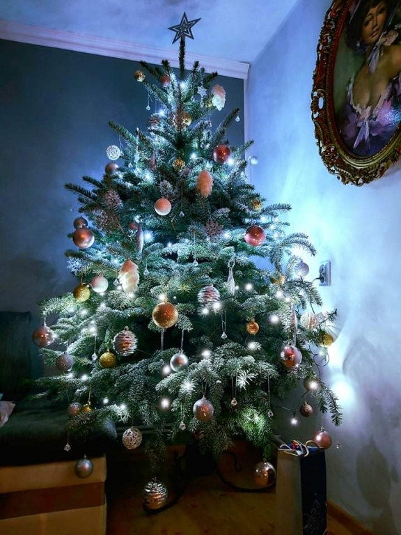 Galeria Waszych choinek 2021