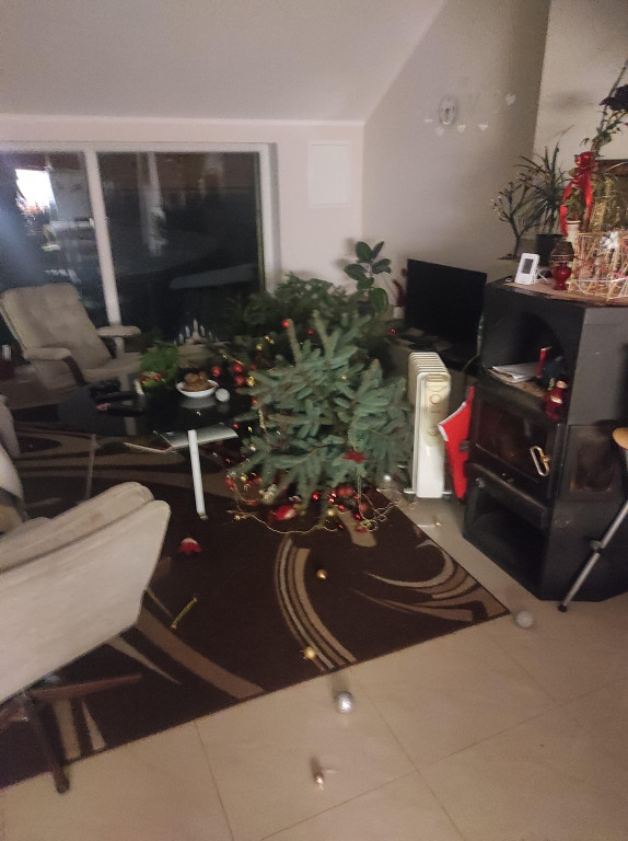 Galeria Waszych choinek 2021