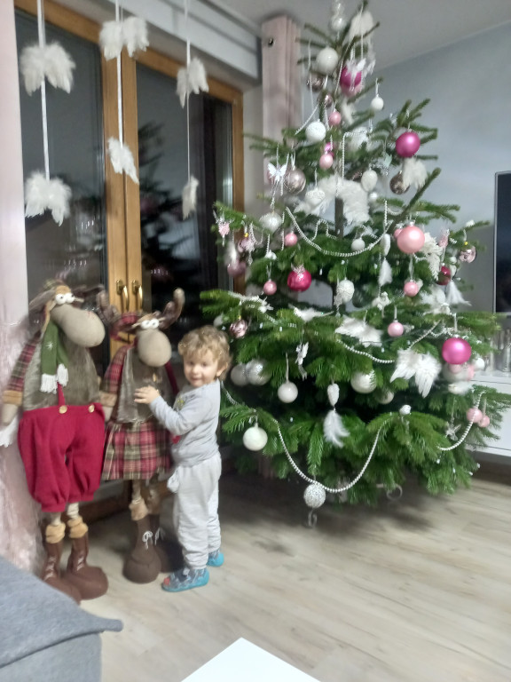 Galeria Waszych choinek 2021