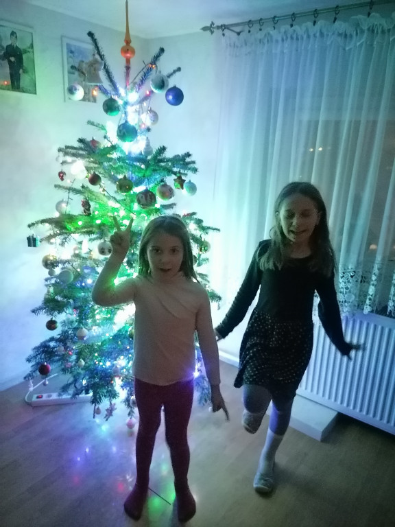 Galeria Waszych choinek 2021