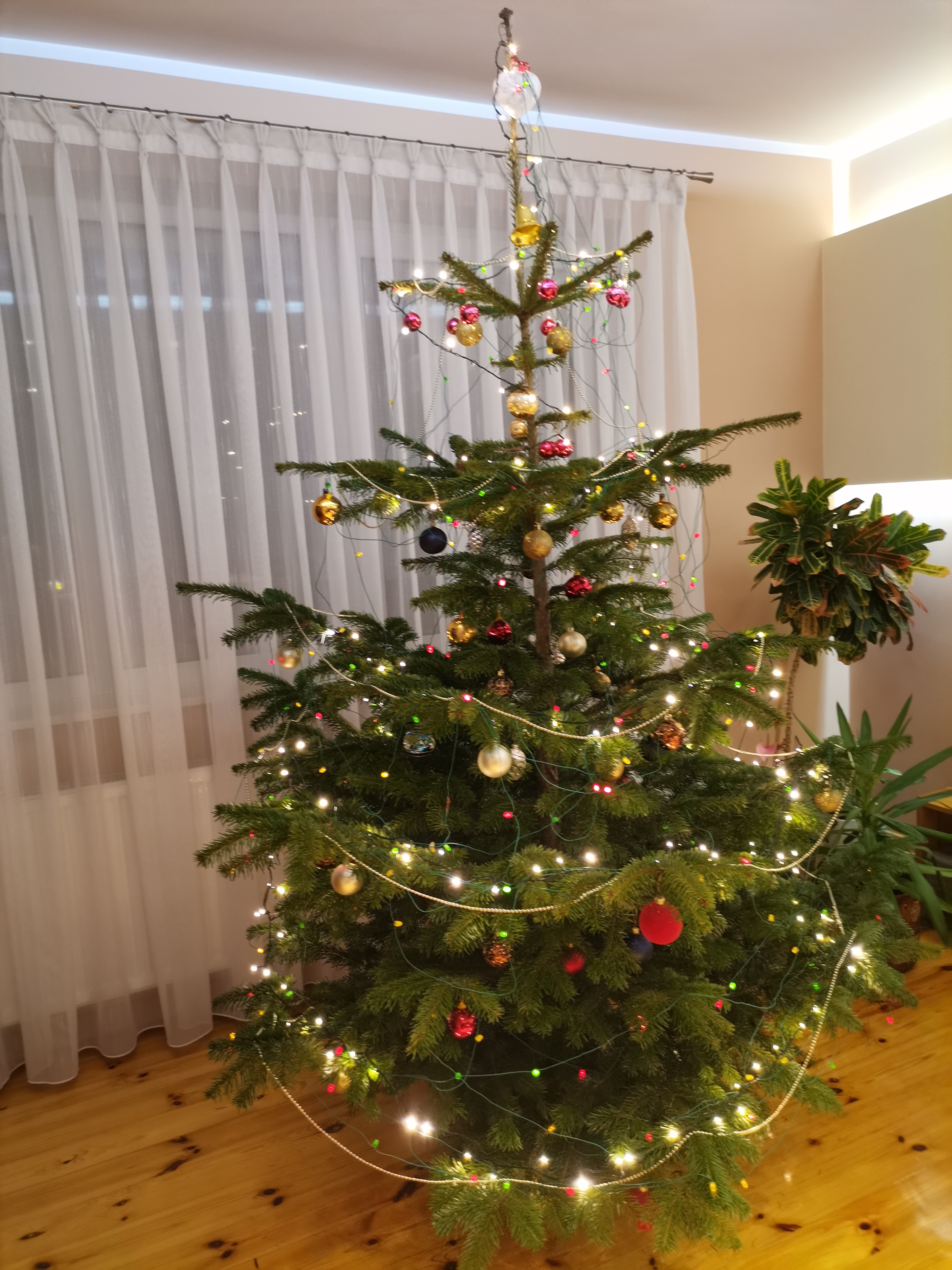 Galeria Waszych choinek 2021