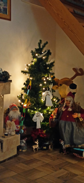 Galeria Waszych choinek 2021