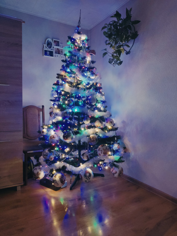 Galeria Waszych choinek 2021