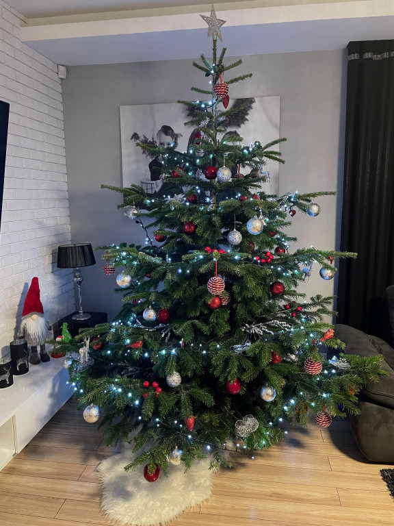 Galeria Waszych choinek 2021
