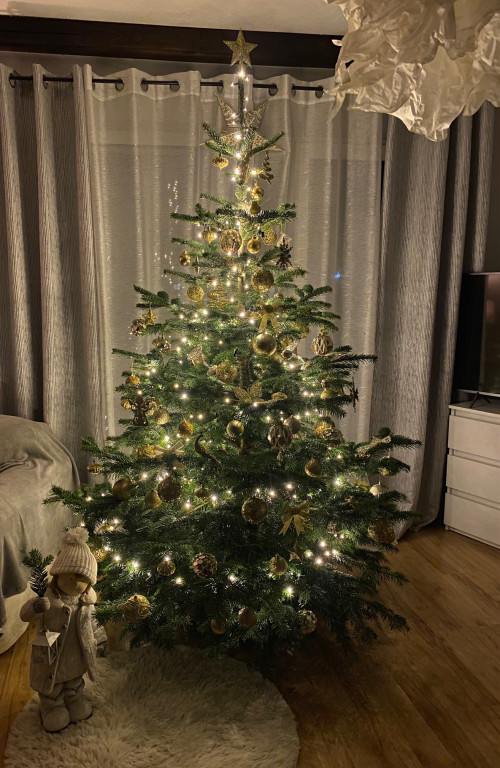 Galeria Waszych choinek 2021
