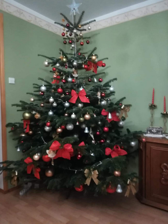Galeria Waszych choinek 2021