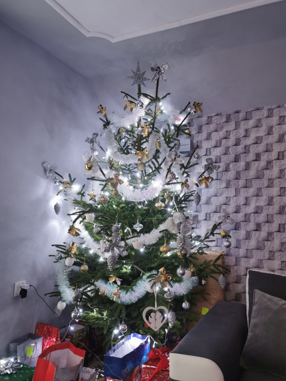 Galeria Waszych choinek 2021