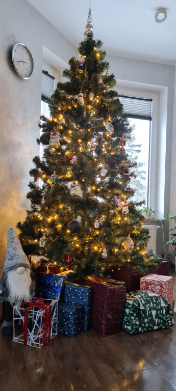 Galeria Waszych choinek 2021