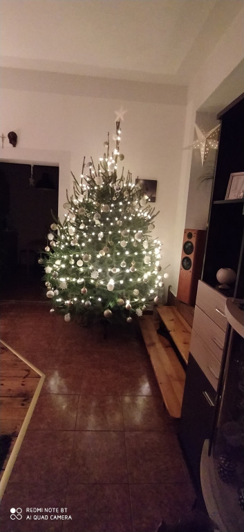 Galeria Waszych choinek 2021