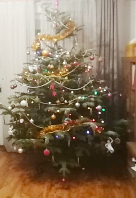 Galeria Waszych choinek 2021