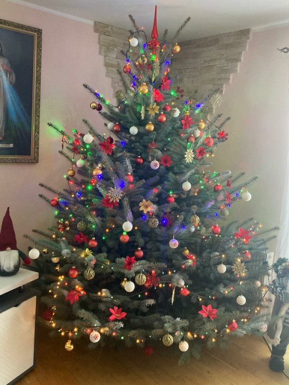 Galeria Waszych choinek 2021