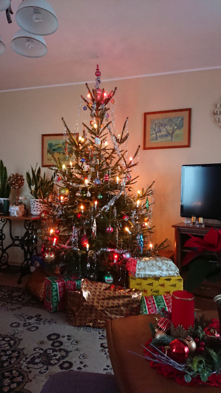 Galeria Waszych choinek 2021