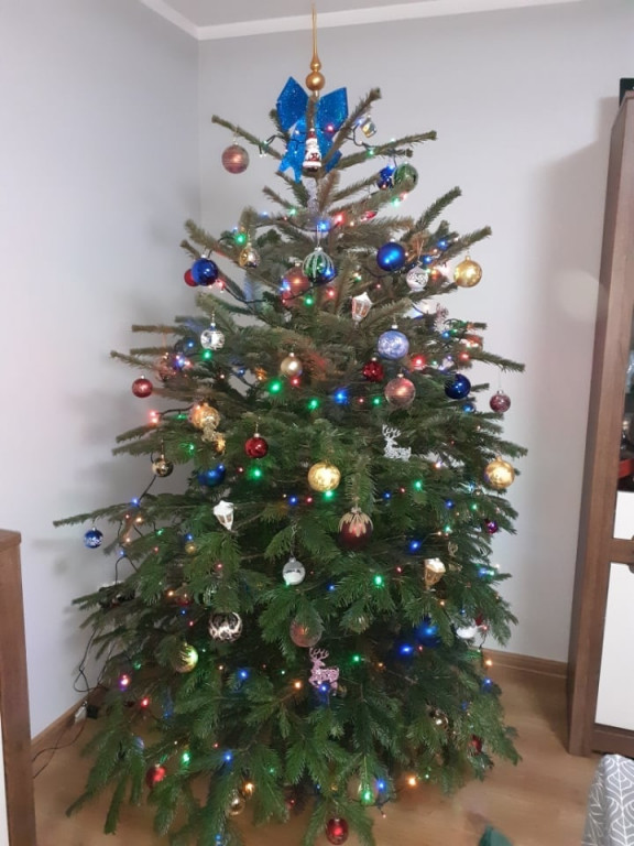 Galeria Waszych choinek 2021