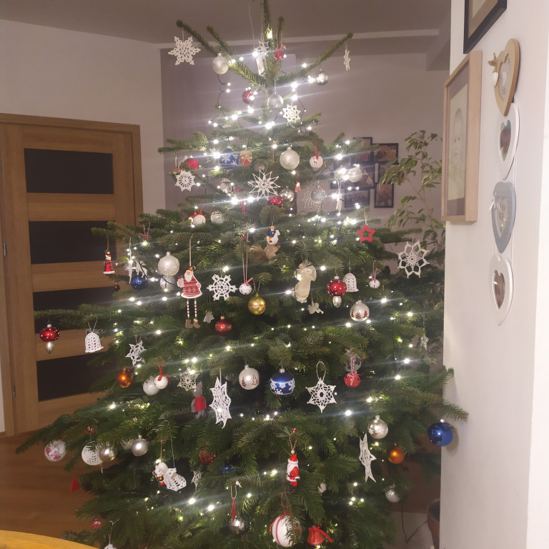 Galeria Waszych choinek 2021