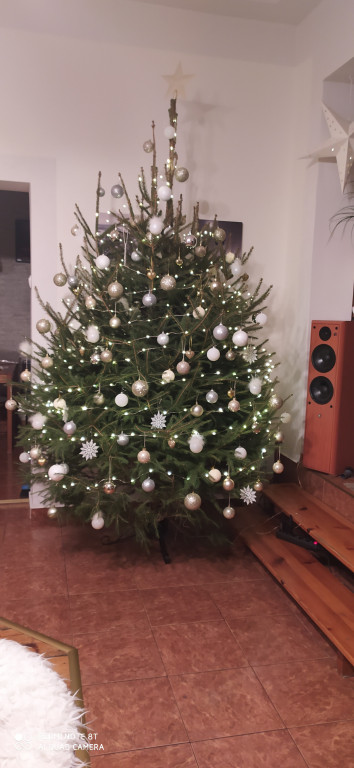 Galeria Waszych choinek 2021