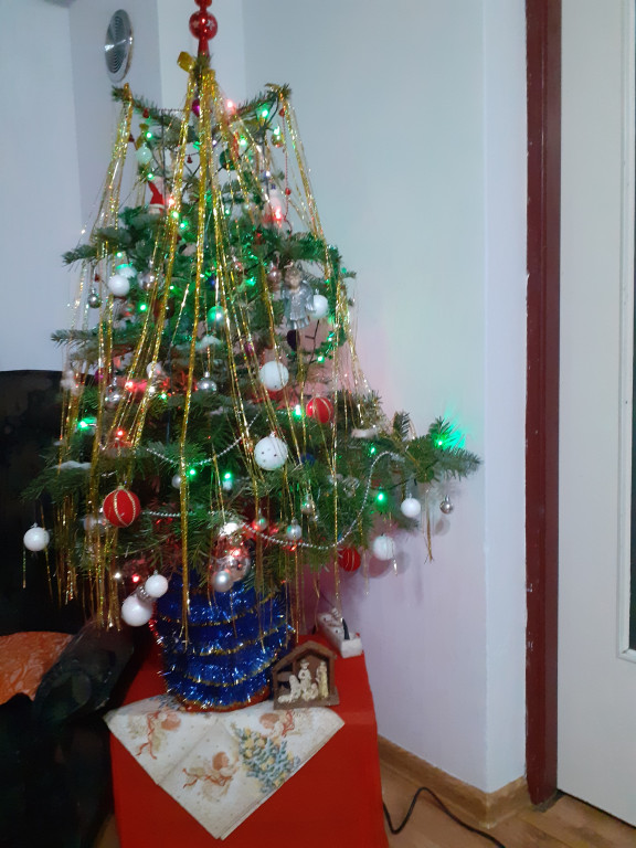 Galeria Waszych choinek 2021