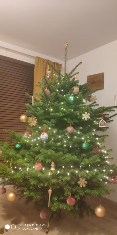 Galeria Waszych choinek 2021