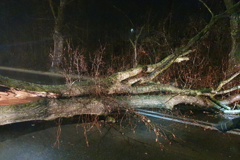 Wichura na Kaszubach - połamane drzewa i konary