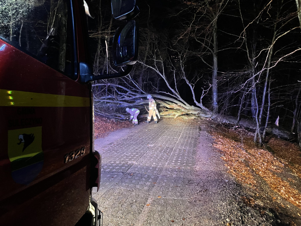 Wichura na Kaszubach - połamane drzewa i konary