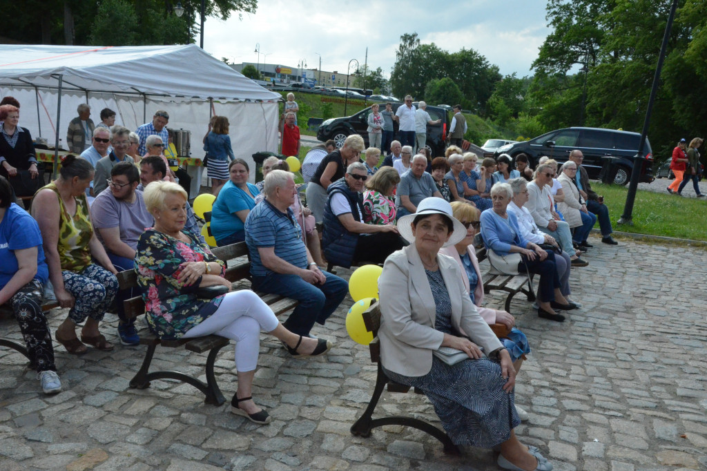 Festyn dla hospicjum przy kolegiacie
