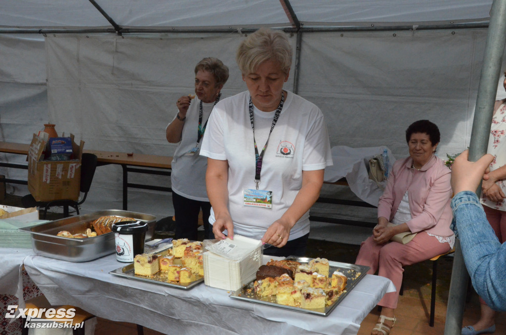 Festyn dla hospicjum przy kolegiacie