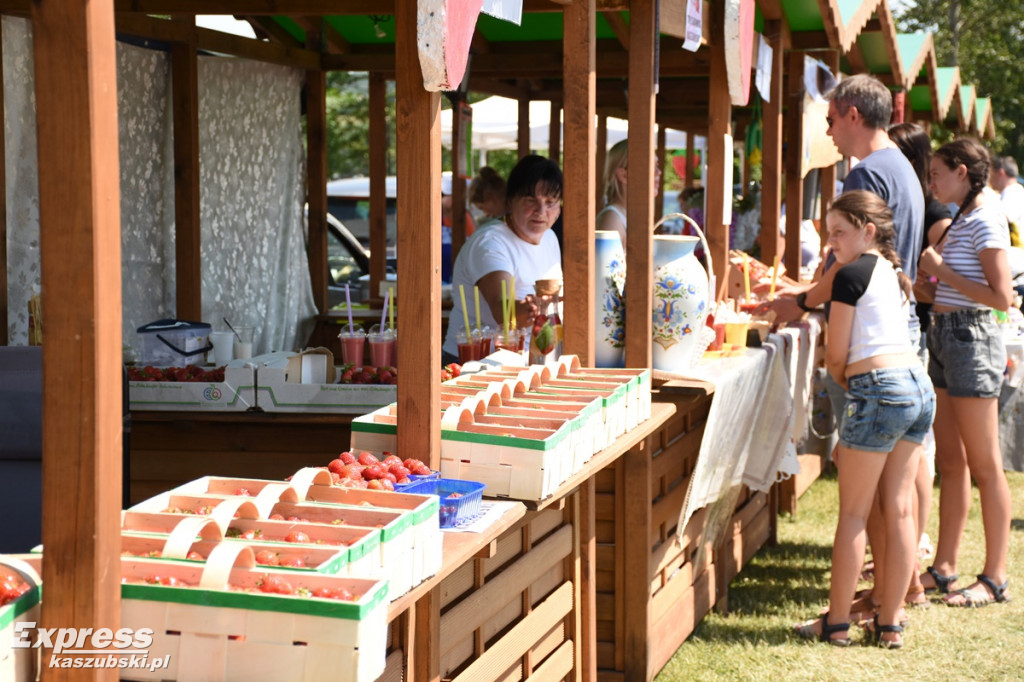 Festiwal Truskawek Kaszubskich w Chmielnie
