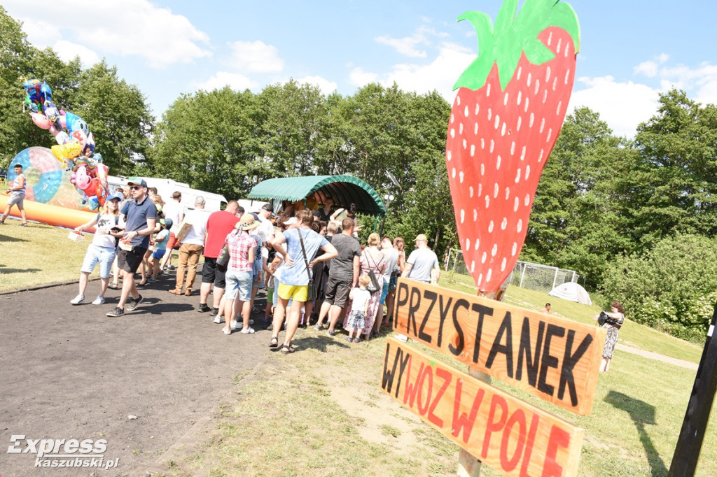 Festiwal Truskawek Kaszubskich w Chmielnie