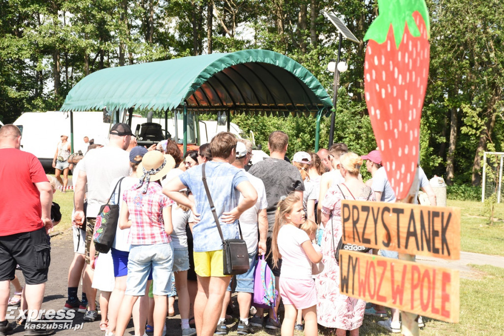 Festiwal Truskawek Kaszubskich w Chmielnie